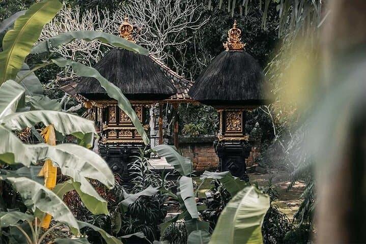 Ubud Purification Ritual & Tegallalang Rice Fields Day Tour photo 6