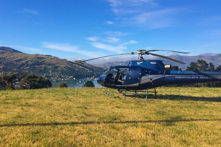 Akaroa and Banks Peninsula Scenic Helicopter Flight from Christchurch photo 5
