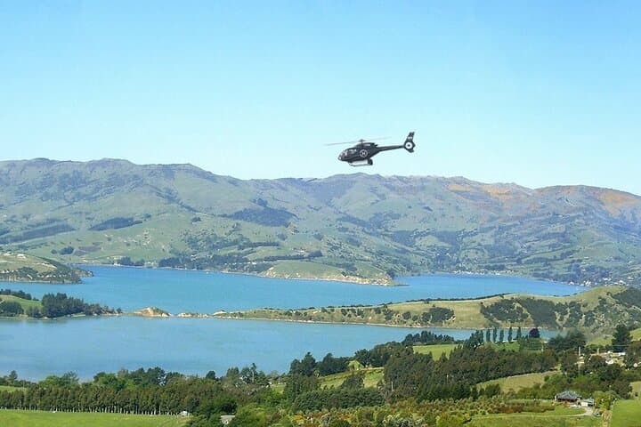 Akaroa and Banks Peninsula Scenic Helicopter Flight from Christchurch