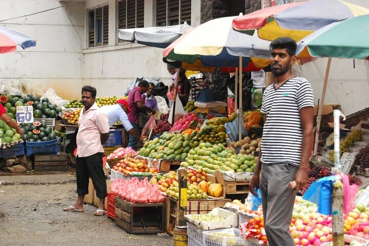 Galle Day Trip: Stilt Fishing, Turtle Watching & Cinnamon Farm Visit photo 3