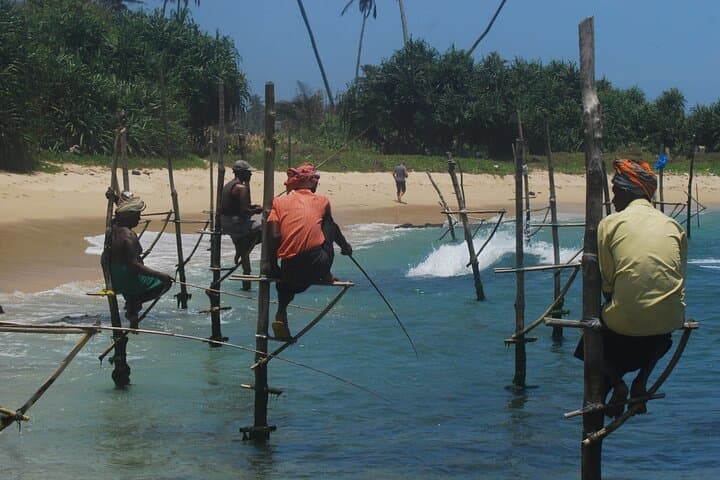 Galle Day Trip: Stilt Fishing, Turtle Watching & Cinnamon Farm Visit photo 6