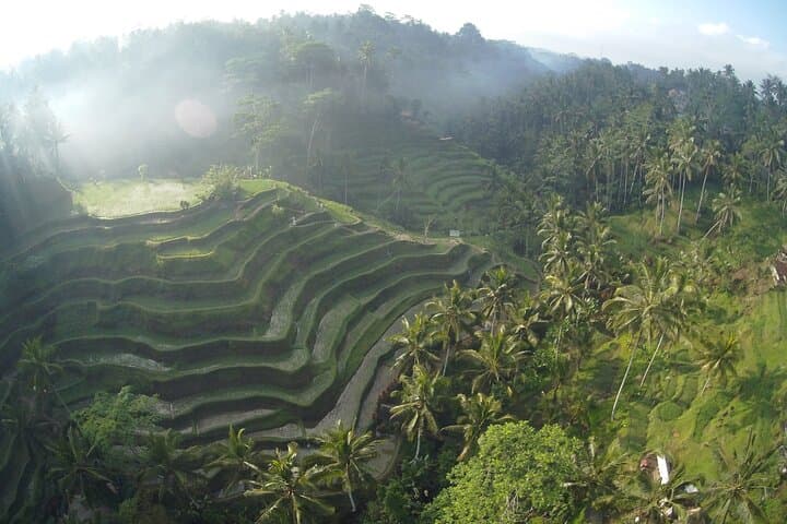 Private Ubud to Kintamani Full-Day Tour: Mount Batur, Tirta Empul & Tegallalang Rice Terraces