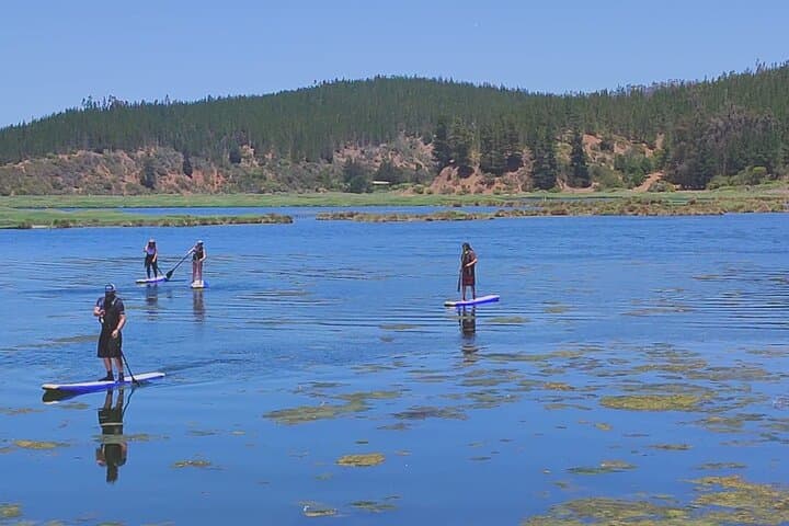 Crossing the Salt Route on a Rowing Surfboard — Cahuil Estuary Paddle & Salt Flats Experience