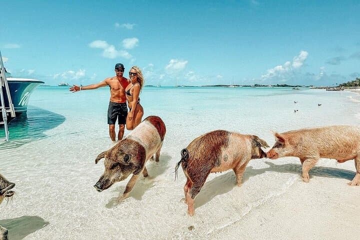 Exuma Full-Day Swimming Pigs & Nurse Sharks Boat Tour from Nassau