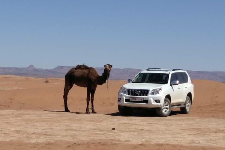 Morocco Vineyard & Gourmet Road-Trip: Wine, Argan Oil and Market Flavors photo 3