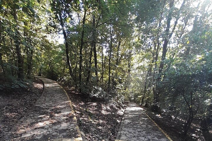 Avala Mountain Hiking Tour from Belgrade — Tower Views & Historic Monuments photo 3