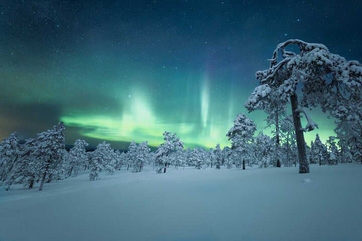 5-Day Whitehorse Aurora Viewing & Winter Adventure