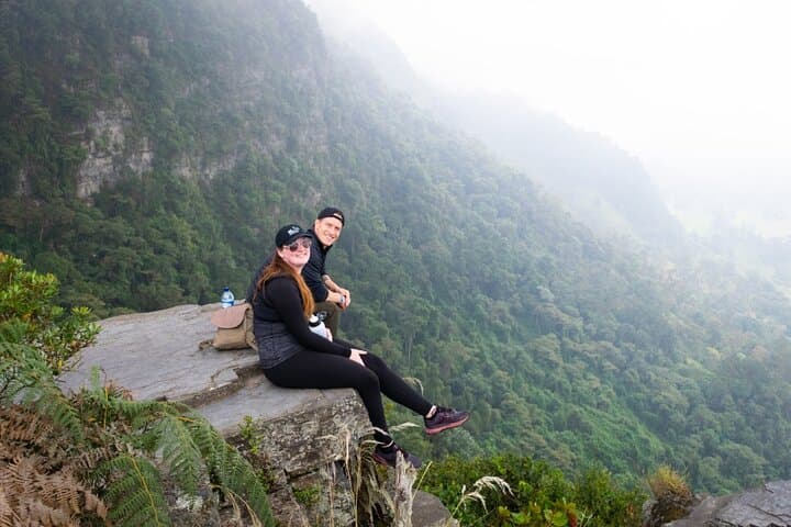 Chicaque Cloud Forest Hike: 4-Hour Birding Trek Near Bogotá