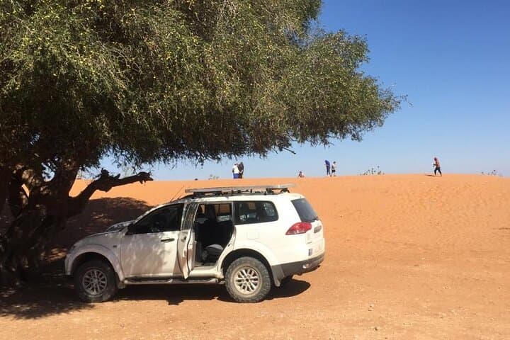 4x4 Day Trip from Agadir to Massa: Dunes, Berber Lunch & Souss-Massa Wildlife photo 1