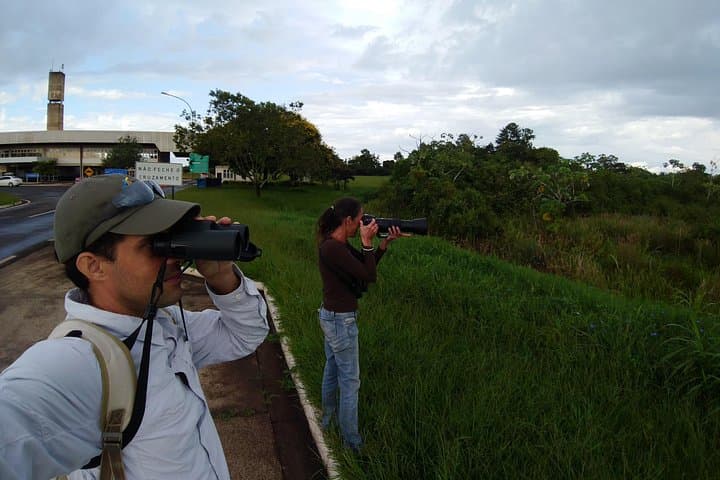 Morning Birdwatching at Iguazu: Expeditions in Iguaçu National Park