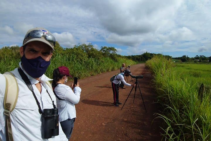 Morning Birdwatching at Iguazu: Expeditions in Iguaçu National Park photo 2