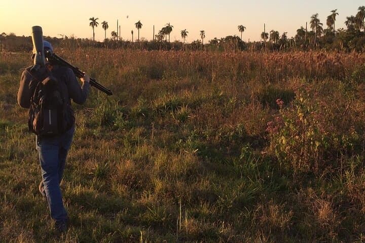 Iguazu Sunset and Nocturnal Birding — Night Wildlife Tour at Iguazu Falls photo 3