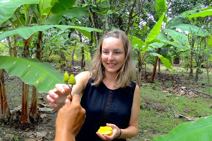 Guayaquil Cocoa Route & Half-Day City Highlights: Malecón, Las Peñas & Cacao Farm photo 2