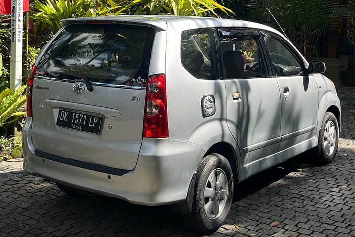 Private Ubud Waterfalls & Iconic Swing Tour — Full-Day from Bali photo 3