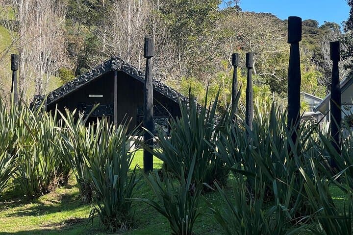 Waiheke Island History & Heritage Tour: Māori Culture, Beaches and Pa Sites photo 4