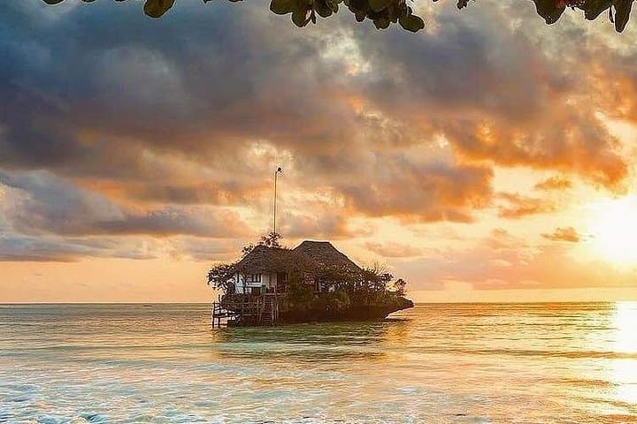 Zanzibar Dolphin Swim, Kuza Cave & Jozani Forest Day Trip from Stone Town photo 1