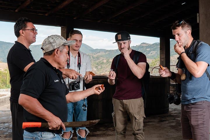 Full-Day Mezcalero Tour in Oaxaca: Palenque Convite, Tlacolula Market & Wild Agave