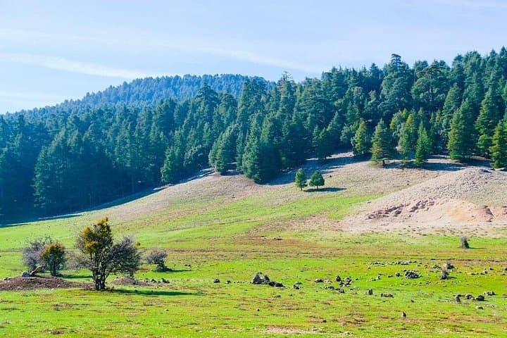 Middle Atlas Day Trip from Fes: Ifrane, Imouzzer & Azrou in a Day photo 4
