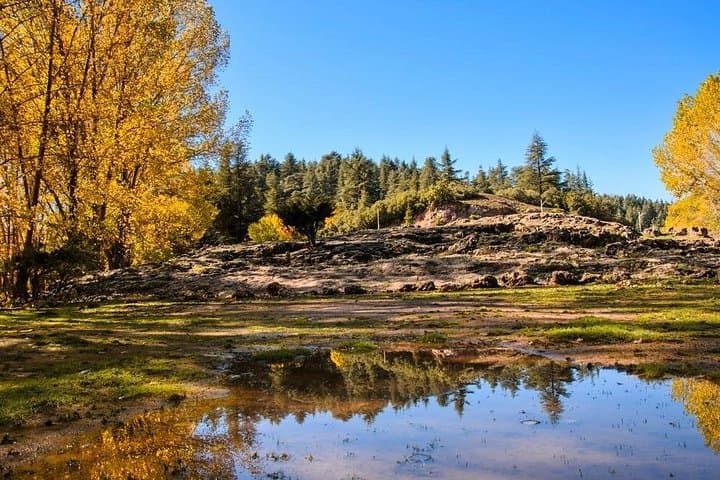 Middle Atlas Day Trip from Fes: Ifrane, Imouzzer & Azrou in a Day photo 5