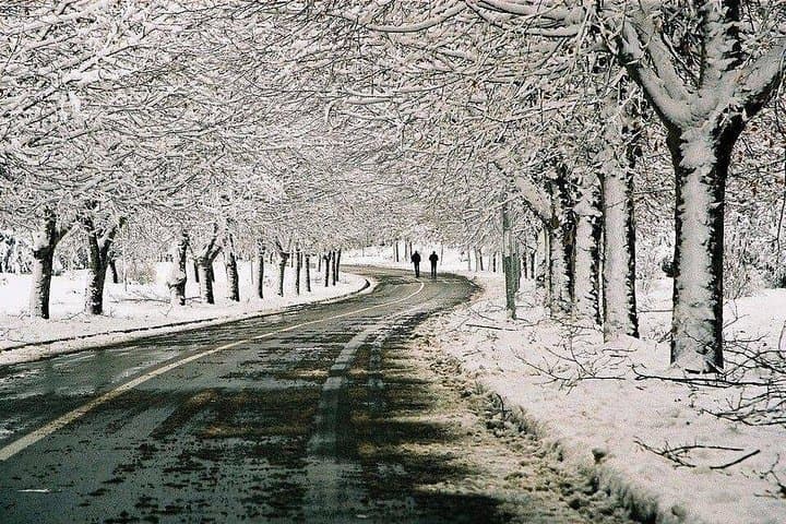 Middle Atlas Day Trip from Fes: Ifrane, Imouzzer & Azrou in a Day photo 6