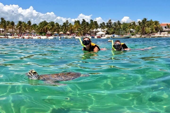 Akumal Snorkeling with Turtles: Small-Group Guided Reef & Photo Experience