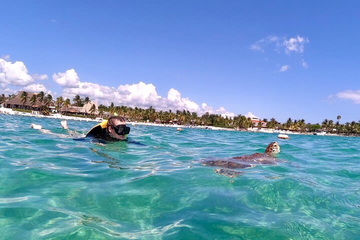 Akumal Snorkeling with Turtles: Small-Group Guided Reef & Photo Experience photo 6