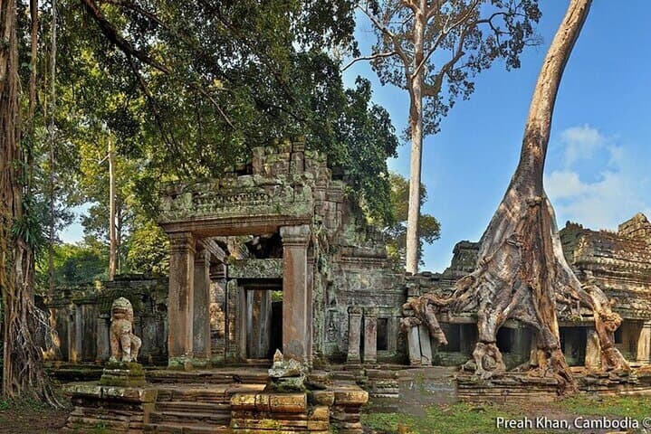 Angkor Wat Sunrise Private Tour from Siem Reap — Sunrise at the Temple Complex photo 2
