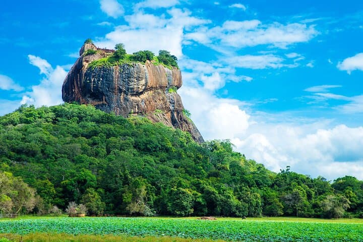 Sigiriya and Dambulla Day Tour — Climb Lion Rock and Explore the Dambulla Cave Temple