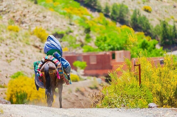 South Morocco Adventure: 15-Day Marrakech to Essaouira Itinerary photo 2