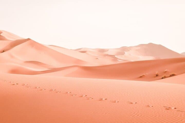 South Morocco Adventure: 15-Day Marrakech to Essaouira Itinerary photo 6