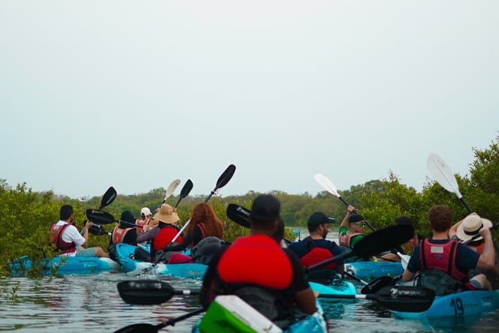 Kayak the Purple Island Mangroves: Al Thakhira Guided Tour, Qatar photo 3