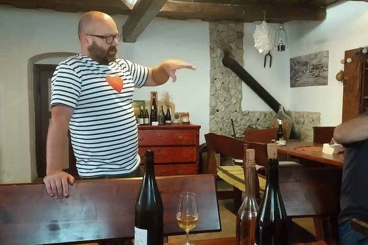 Tokaj Wine Tasting Tour from Košice — Day Trip to Slovak Wineries photo 4