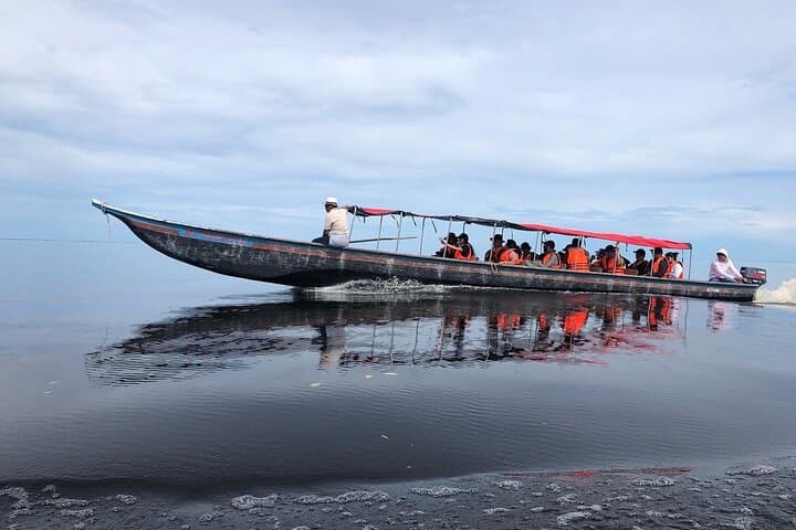 Expedition to Macondo: Ciénaga Grande del Magdalena Day Trip from Santa Marta photo 3