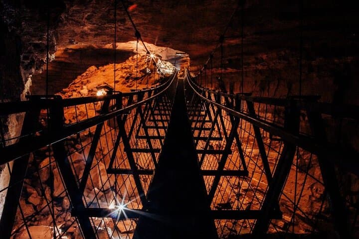 Day Trip from Nashville: Mammoth Cave, Hidden River Cave & Kentucky Down Under Kangaroo Encounter