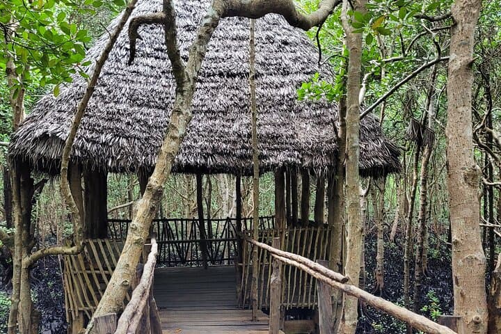 Zanzibar island: jozani forest, prison island, spice farms & dhow safari photo 2