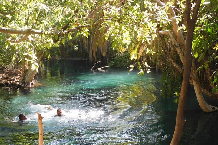 Chemka (Kikuletwa) Hot Springs: A Refreshing Day Trip from Moshi photo 2