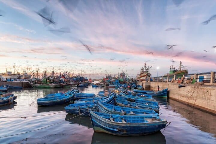 13-Day Morocco Adventure: Atlantic Coast, Imperial Cities and the Sahara Desert photo 3