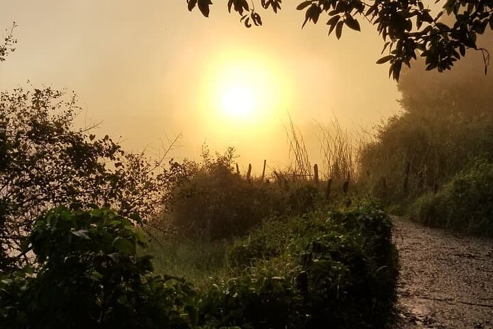 3-Day Victoria Falls Tour: Zimbabwe & Zambia Falls, Bridge Views and Game Drive photo 3