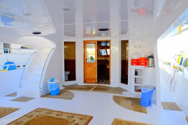 VIP Boat Snorkel to Ras Mohammed & White Island — Red Sea Reefs and Beaches photo 2