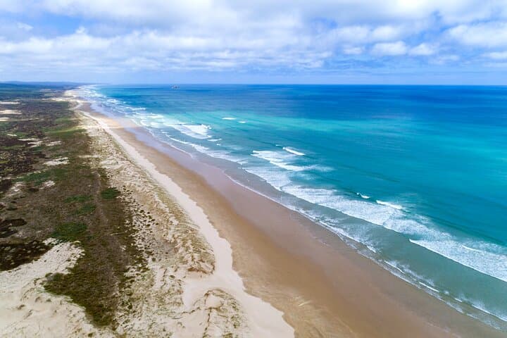 Far North New Zealand Coach Tour: 90 Mile Beach & Cape Reinga Day Trip from Paihia photo 3