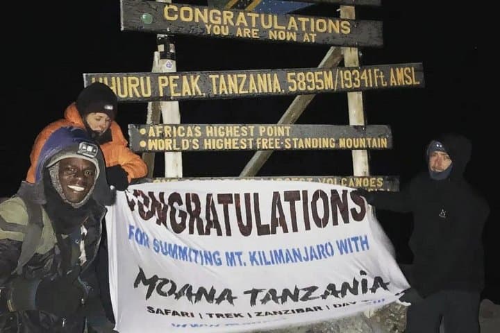 Summit Kilimanjaro via the Lemosho Route: 7-Day Guided Trek to Uhuru Peak photo 3