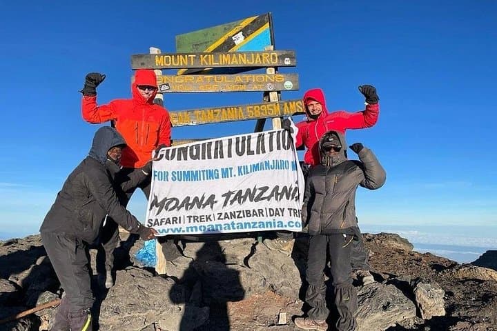 Summit Kilimanjaro via the Lemosho Route: 7-Day Guided Trek to Uhuru Peak photo 1