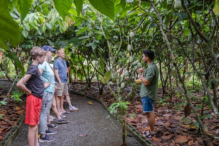 Hands-On Coffee & Chocolate Crafting Near Arenal Volcano photo 2