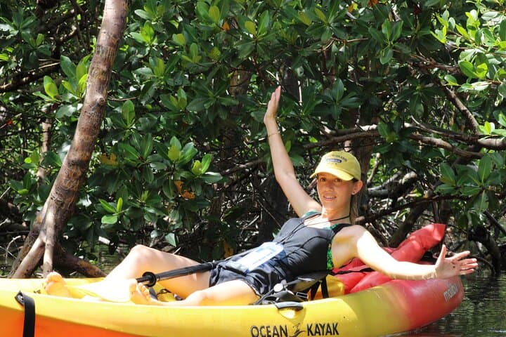 Kayak the Mangroves: Nauti Exposures Single-Kayak Rental in Naples, FL photo 4
