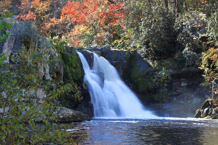 Cades Cove Self-Guided Driving Audio Tour — Historic Loop, Waterfalls & Wildlife photo 5