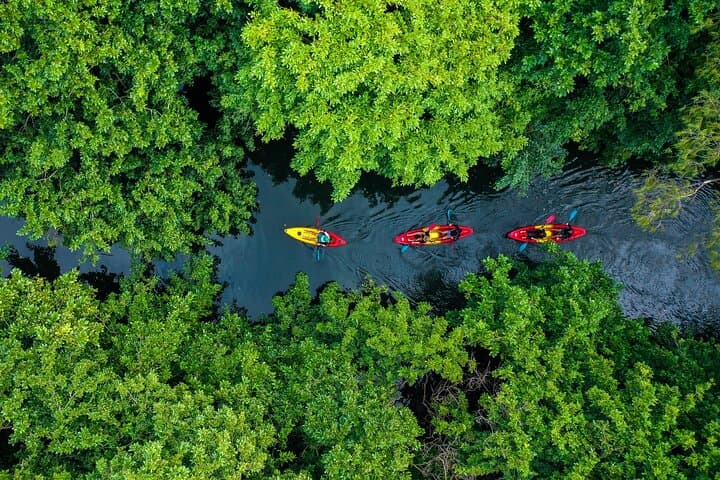 Sunset Kayak on the Tamarin River: Guided Afternoon Paddle in Mauritius