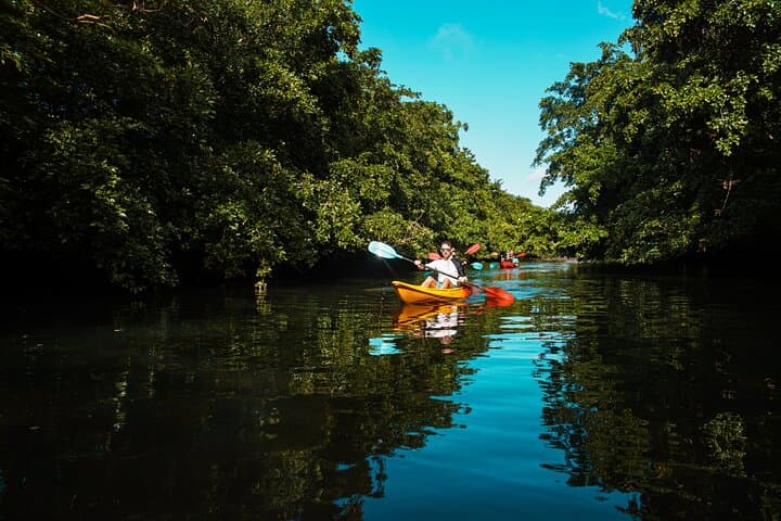 Sunset Kayak on the Tamarin River: Guided Afternoon Paddle in Mauritius photo 3