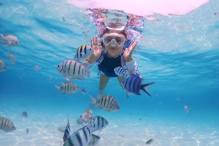 Blue Lagoon Snorkel at Padangbai — Full-Day Tour with Lunch & Guide