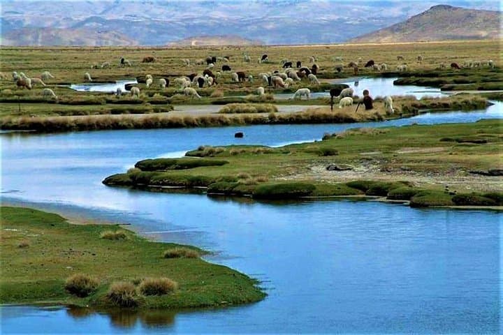 Full-Day Colca Canyon Tour: Condors, Hot Springs & Andean Villages photo 4