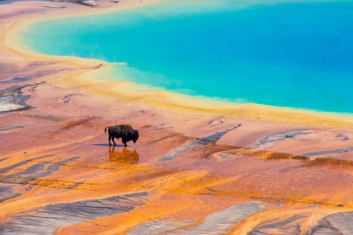 5-Day Yellowstone and Grand Teton Winter Tour from Salt Lake City photo 5
